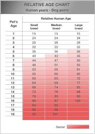 Dog Age Chart My Heart Just Broke A Little Dogs Dog