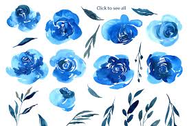 Blue and white flowers png. Watercolor Indigo Blue Roses Flowers Png By Watercolorflowers Thehungryjpeg Com