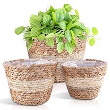 We did not find results for: Macetero Ikea Mimbre Los 20 Mejores Precios