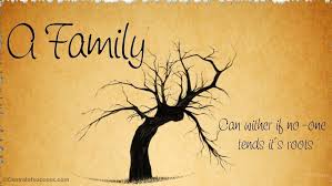 Family is a unique gift that needs to be appreciated and treasured, even when they're driving you crazy. 200 Roots Quotes And Never Forget Your Roots Sayings