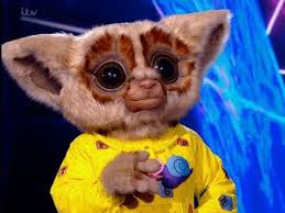 Watch season 4 full episodes of the masked singer and more, anytime on fox! The Masked Singer Viewers Stunned As Bush Baby Finally Unmasked Daily Record