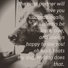 There Is Nothing More Loyal Than A Dog Give Them The Support They Deserve Dog Quotes Dog Love German Shepherd Dogs