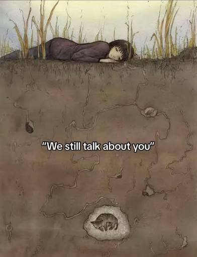 images?q=tbn:ANd9GcT9mG7hPbpMfaC_AY9XKW40LuwtwYUsLUkOGG8mor4L30h5Fgt3737UazyL&s=10