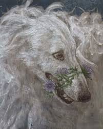 Image result for Ozoroa bredoi