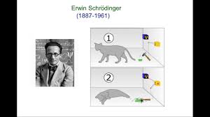 Mecanica cuantic ne spune c lumea particulelor elementare este guvernat de legi stranii, contraintuitive. Erwin Schrodinger 1887 1961 Youtube