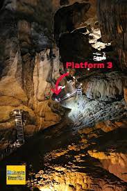 Gua tempurung in gopeng is the largest known cave system of numerous limestone hills surrounding ipoh! Gua Tempurung One Of Malaysia S Top Show Caves