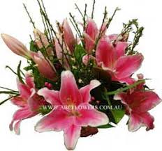 We did not find results for: Frances Perry House Florist Abc Flowers Flowers Hampers To Frances Perry House Parkville Free Delivery