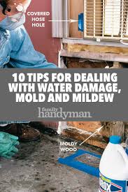 10 Tips For Dealing With Water Damage Mold And Mildew Mold And Mildew Water Damage Repair Home Renovation