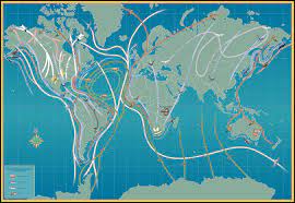 World Migration Map2000 Bird Migration Map Bird Migration Migrations