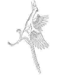 High quality coloring book pages and preschool coloring pages. Pterodactyl Flying Dinosaur Coloring Page Free Printable Coloring Home