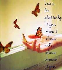 Pin By Diana M On Butterfly Quotes Butterfly Love Quotes Butterfly Quotes Go For It Quotes