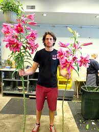 Check spelling or type a new query. Beautiful Flowers By I F Design F Design Flower Power Design