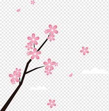 #mide@onni4k 649_p1 #sakura_miura@onni4k #big_titis@onni4k #school@onni4k. Japan Petal Cabang Dan Kelopak Bunga Sakura Lukisan Cat Air Cabang Pohon Bunga Png Pngwing