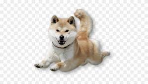 Последние твиты от dogecoin (@dogecoin). Dancing Doge Png Shiba Flying Transparent Png 500x616 2747443 Pngfind