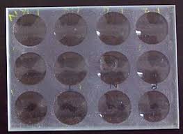 Venereal Disease Research Laboratory Test Wikipedia