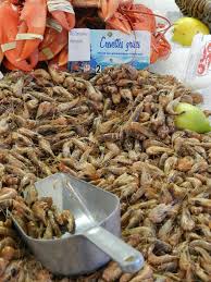 Crevettes Grises Marche Du Touquet France Gastronomie Letouquet Gastronomie Francaise Gastronomie Crevettes Grises