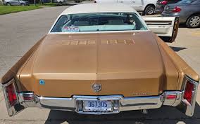 Image result for Live Oak 1971 AC Cars