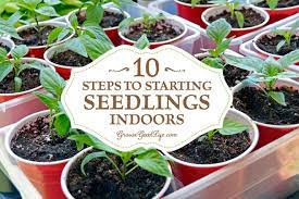 Enjoy fresh herbs, vegetables and flowers grown in your own indoor garden all year round. 10 Steps To Starting Seedlings Indoors