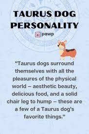 Taurus Dog Personality What Being A Taurus Says About Your Dog Dog Personality Dog Zodiac Dog Horoscope