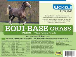 Image result for Equilabium selukwense