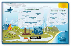 Ess Topic 1 5 Humans And Pollution Amazing World Of