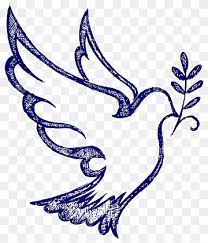 Our database contains over 16 million of free png images. Espiritu Santo Png Images Pngwing