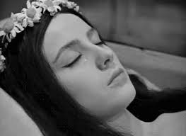 смотреть старый фильм вий онлайн бесплатно в хорошем качестве Https Encrypted Tbn0 Gstatic Com Images Q Tbn 3aand9gcr2v Jgfgnrjtn5rwfvbyzqf6xqfne45mpjfg Usqp Cau