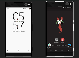 Pin Di Xperia Themes