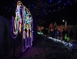 What Is Denver Zoo Lights