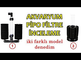 Aylardir Temizlenmeyen Ic Filtre Aquarium Internal Filter Clean Youtube