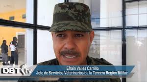 Perros adiestrados para la seguridad nacional