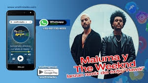 The weeknd papi juancho maluma, baby (i don't want marriage) Maluma Y The Weeknd Lanzan Remix Del Exito Hawai Elliotsaenz