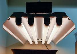 Shopping for the best t5 grow light should no longer be such a daunting task. The 5 Best T5 Grow Lights To Buy Best Led Grow Lights Info