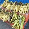 Pisang cokelat is often simply described as choco banana spring rolls. 3