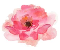 Search and download free hd flowers png images with transparent background online from lovepik.com. Floral Watercolor Flowers High Resolution Png Transparent Background Free Download 46949 Freeiconspng