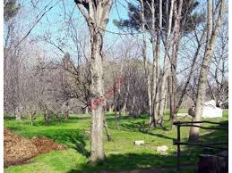 istanbul catalca da satilik ciftlik niteliginde tarla tarim ciftlikler otlak