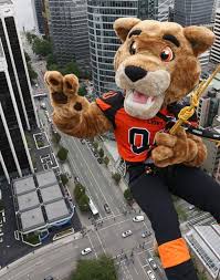 Leo the lion, bc lions mascot. Bc Lions Hey Everyone Out There Hope You Re All Hangin ÙÛØ³Ø¨ÙˆÚ©
