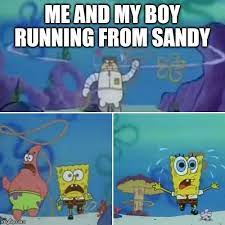 Spongebob Squarepants 10 Sandy Memes That True Fans Will Love