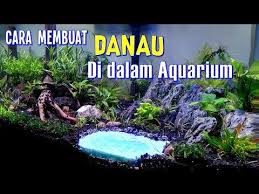 Danau Di Dalam Aquarium Update Boyu Bending Tank 60cm Youtube Danau Aquarium Instagram