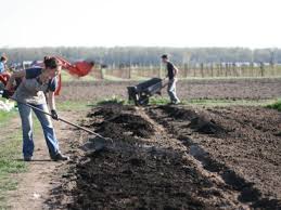 Soil preparation is the most important step to growing beautiful flowers. How To Prepare The Soil For Your Cut Flower Garden Floret Flowers