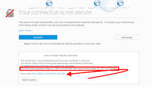 There may arise an error if your browser doesn't find a secure way to connect to a website. Fix Sec Error Unknown Issuer Firefox Connection Not Secure