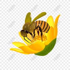 Mewarnai lebah kelompok bermain alia. Lebah Di Atas Bunga Png Grafik Gambar Unduh Gratis Lovepik