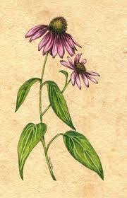 Pin On Tattoo Ideas
