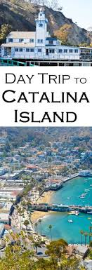 20 catalina island ideas in 2020 catalina island catalina island 20 catalina island ideas in 2020