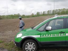 Le ultime notizie di carabinieri forestali dalla campania.storie e approfondimenti. Carabinieri Forestali Il Bilancio Dell Attivita Il Torinese