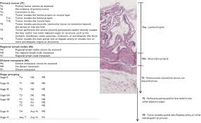 Gallbladder Cancer Staging And Histology Notes Histology Courtesy Of Download Scientific Diagram