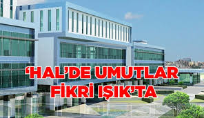 Hal De Umutlar Fikri Isik Ta