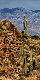 Avas flowers is a family owned and operated professional florist offering flower delivery in. Holly Bachleda Hollybachleda Profile Pinterest