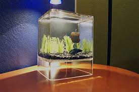Semua yang di buat dengan penuh inovasi, kreativitas penuh, dan juga teknologi canggih. Desain Aquarium Unik Berita Aneh Tapi Nyata