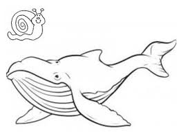 Free printable jonah and the whale coloring pages for kids. Whale Coloring Worksheets Teaching Resources Tpt